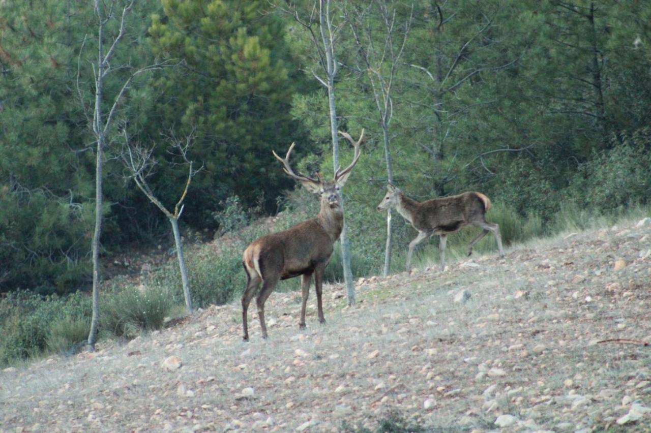 Rurales Casa Josefita *